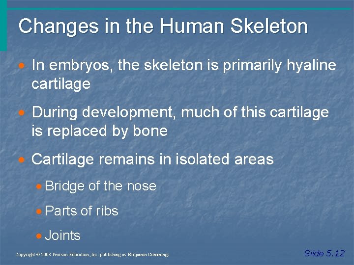 Changes in the Human Skeleton · In embryos, the skeleton is primarily hyaline cartilage