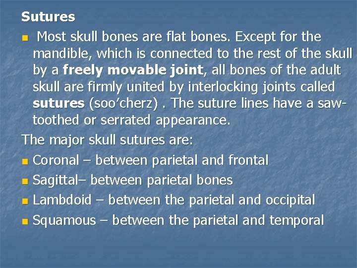 Sutures n Most skull bones are flat bones. Except for the mandible, which is