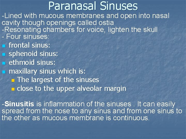 Paranasal Sinuses -Lined with mucous membranes and open into nasal cavity though openings called