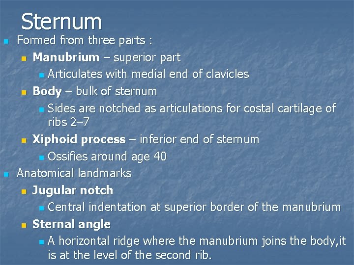 Sternum n n Formed from three parts : n Manubrium – superior part n