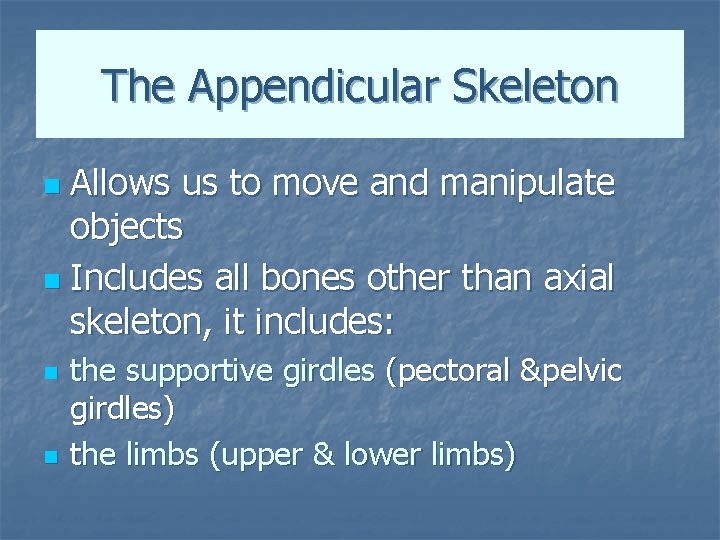The Appendicular Skeleton Allows us to move and manipulate objects n Includes all bones
