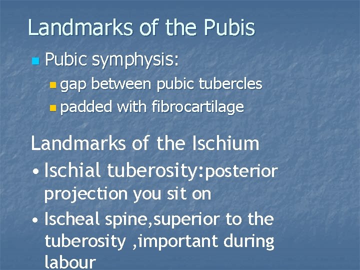 Landmarks of the Pubis n Pubic symphysis: n gap between pubic tubercles n padded