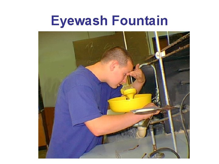 Eyewash Fountain 