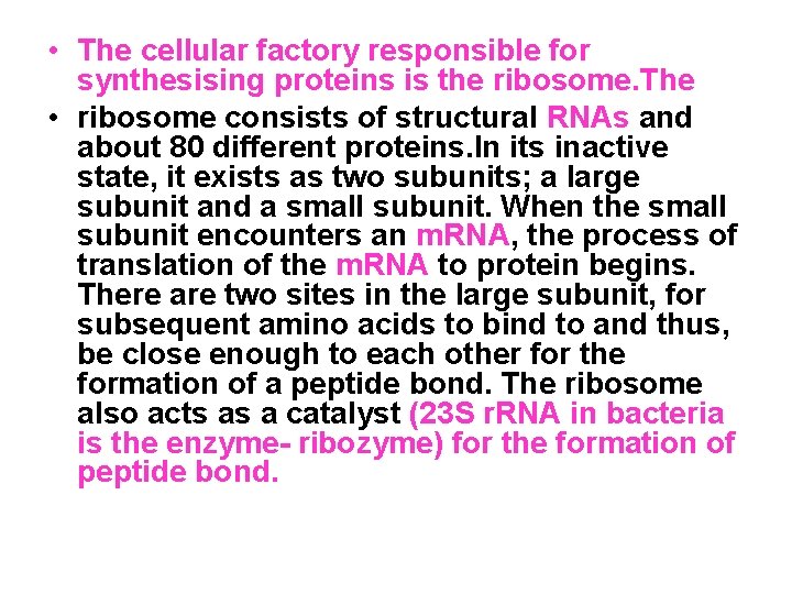  • The cellular factory responsible for synthesising proteins is the ribosome. The •