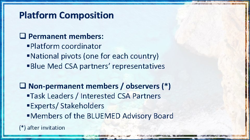 Platform Composition q Permanent members: §Platform coordinator §National pivots (one for each country) §Blue