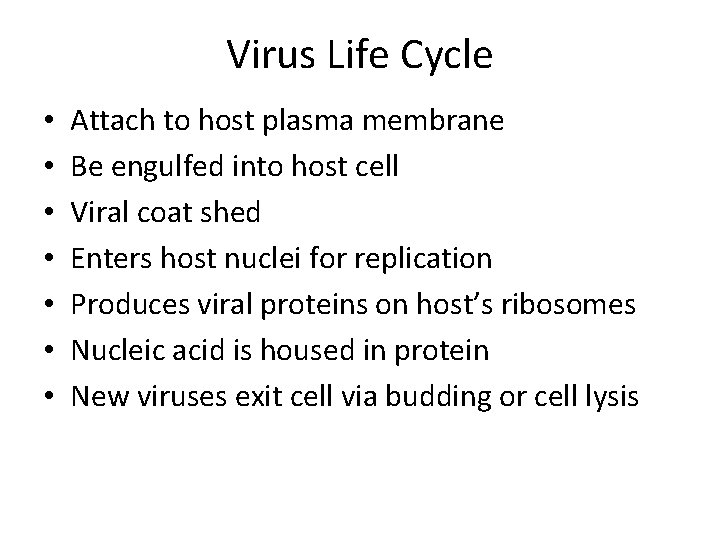 Virus Life Cycle • • Attach to host plasma membrane Be engulfed into host