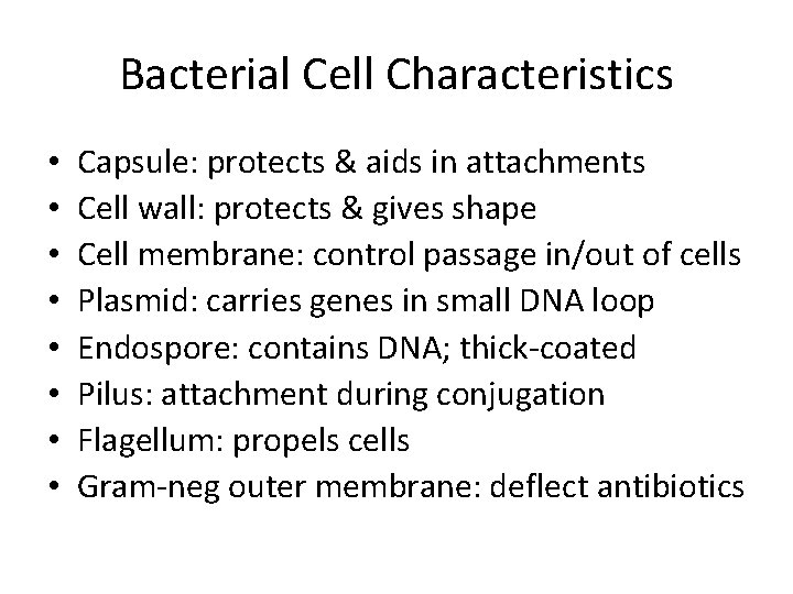 Bacterial Cell Characteristics • • Capsule: protects & aids in attachments Cell wall: protects