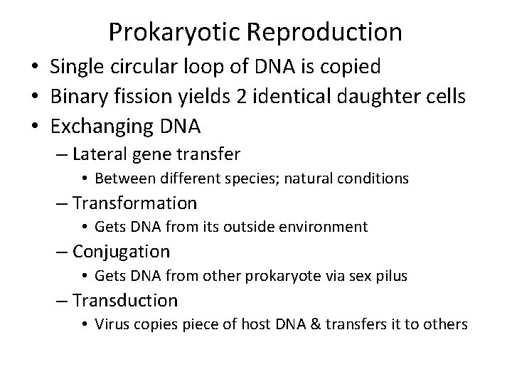 Prokaryotic Reproduction • Single circular loop of DNA is copied • Binary fission yields