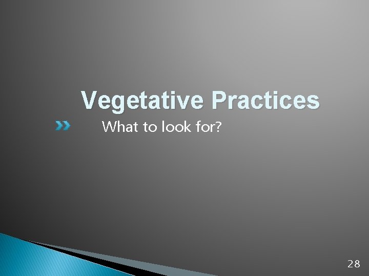 Vegetative Practices What to look for? 28 