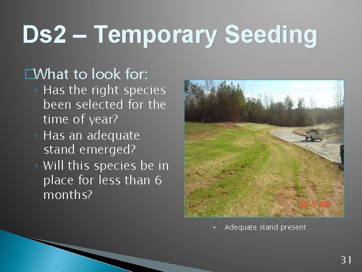 Ds 2 – Temporary Seeding �What to look for: ◦ Has the right species
