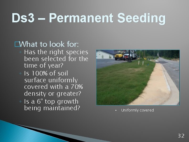 Ds 3 – Permanent Seeding �What to look for: ◦ Has the right species