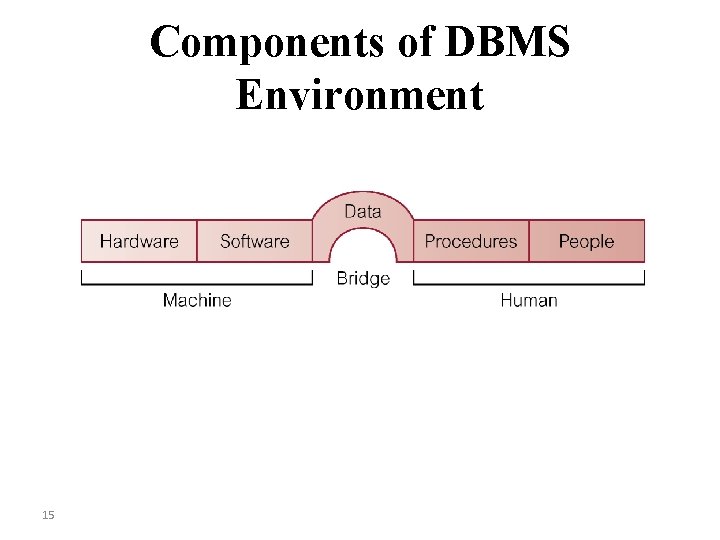 Components of DBMS Environment 15 