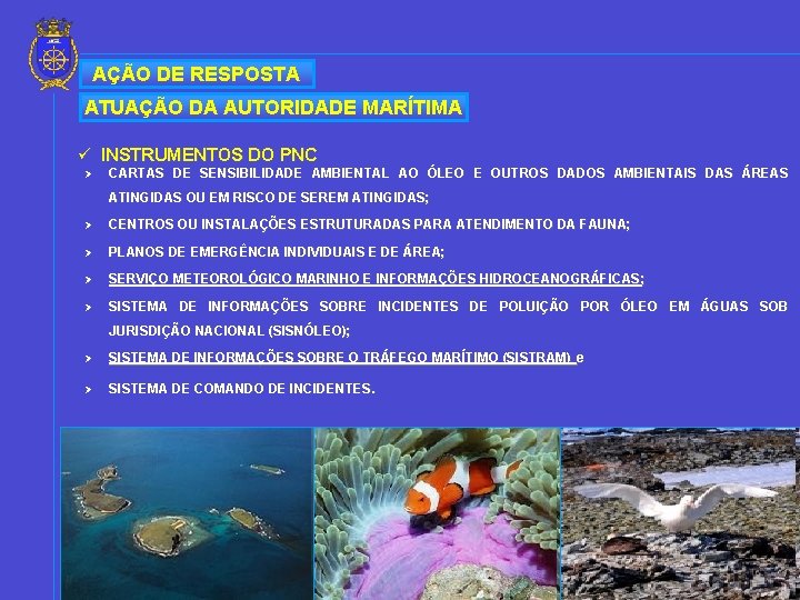 AÇÃO DE RESPOSTA ATUAÇÃO DA AUTORIDADE MARÍTIMA ü INSTRUMENTOS DO PNC Ø CARTAS DE