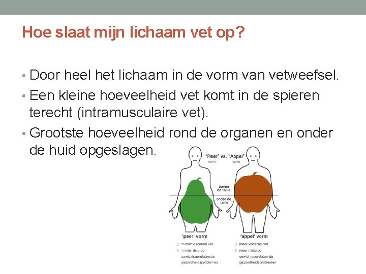 Hoe slaat mijn lichaam vet op? • Door heel het lichaam in de vorm