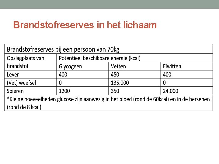 Brandstofreserves in het lichaam 