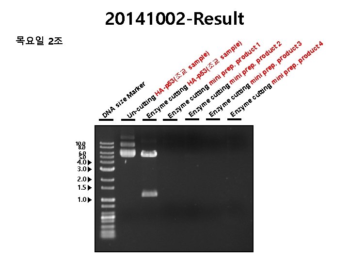 20141002 -Result 목요일 2조 1 e) t 4 t 2 t 3 t c