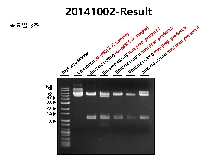 20141002 -Result 목요일 3조 e) t 4 t 2 t 3 t 1 c