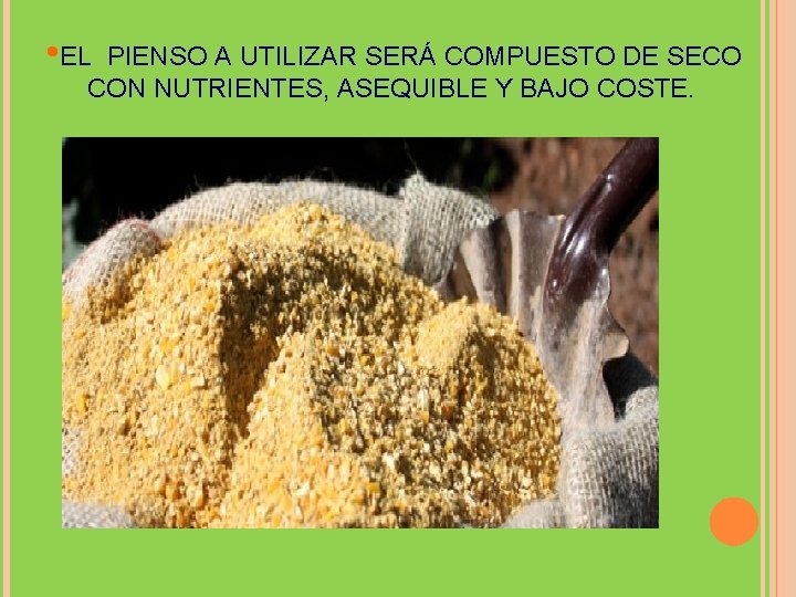  • EL PIENSO A UTILIZAR SERÁ COMPUESTO DE SECO CON NUTRIENTES, ASEQUIBLE Y