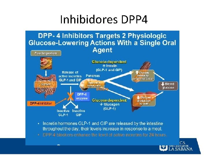 Inhibidores DPP 4 