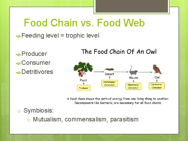 Food Chain vs. Food Web Feeding level = trophic level Producer Consumer Detritivores o