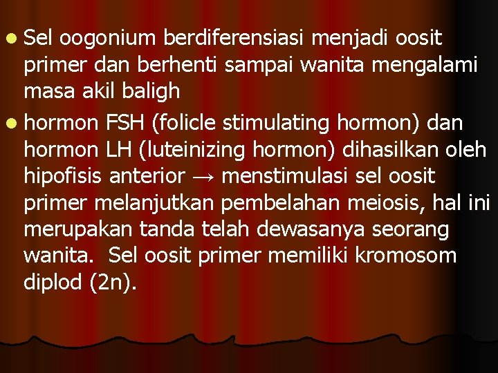 l Sel oogonium berdiferensiasi menjadi oosit primer dan berhenti sampai wanita mengalami masa akil