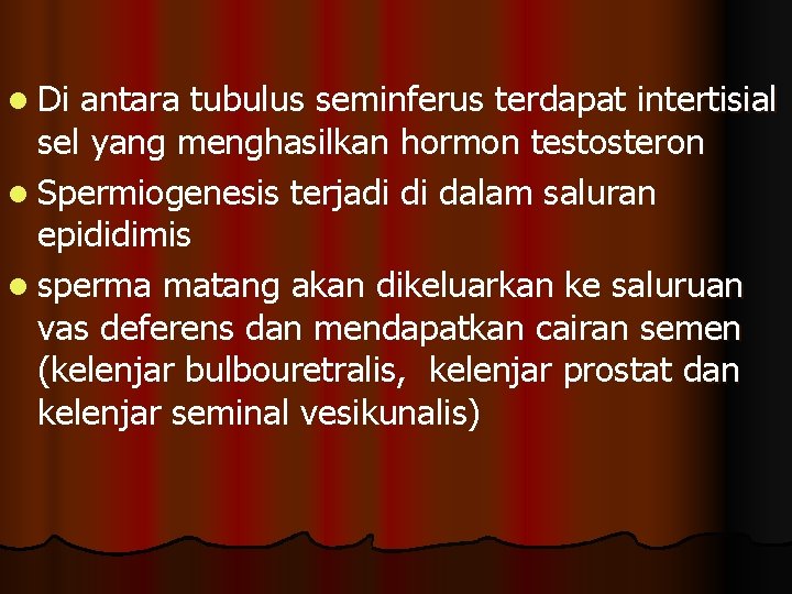 l Di antara tubulus seminferus terdapat intertisial sel yang menghasilkan hormon testosteron l Spermiogenesis