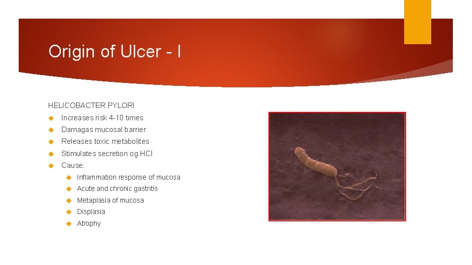Origin of Ulcer - I HELICOBACTER PYLORI Increases risk 4 -10 times Damagas mucosal Origin of Ulcer - I HELICOBACTER PYLORI Increases risk 4 -10 times Damagas mucosal