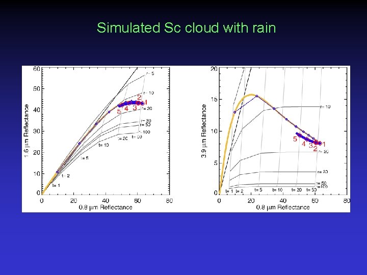 Simulated Sc cloud with rain 