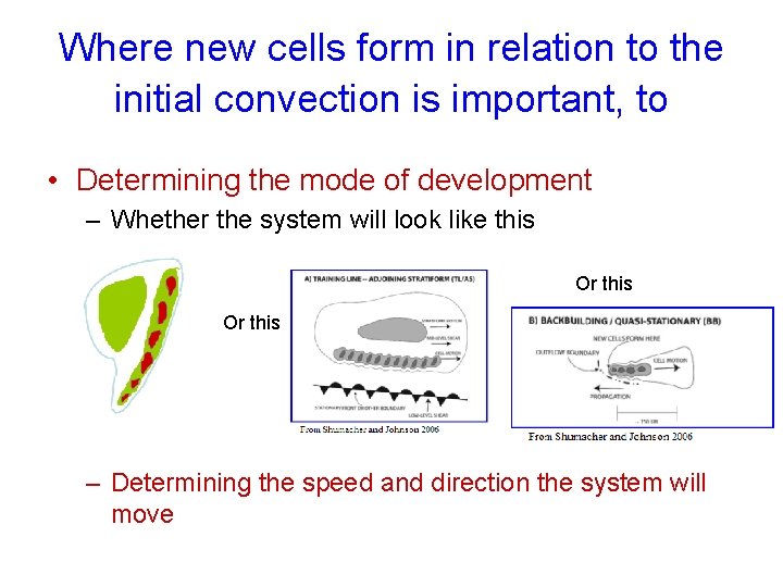Where new cells form in relation to the initial convection is important, to •