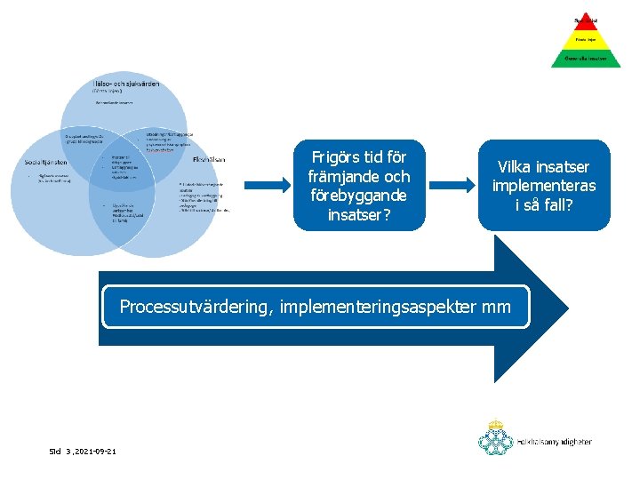 Frigörs tid för främjande och förebyggande insatser? Vilka insatser implementeras i så fall? Processutvärdering,
