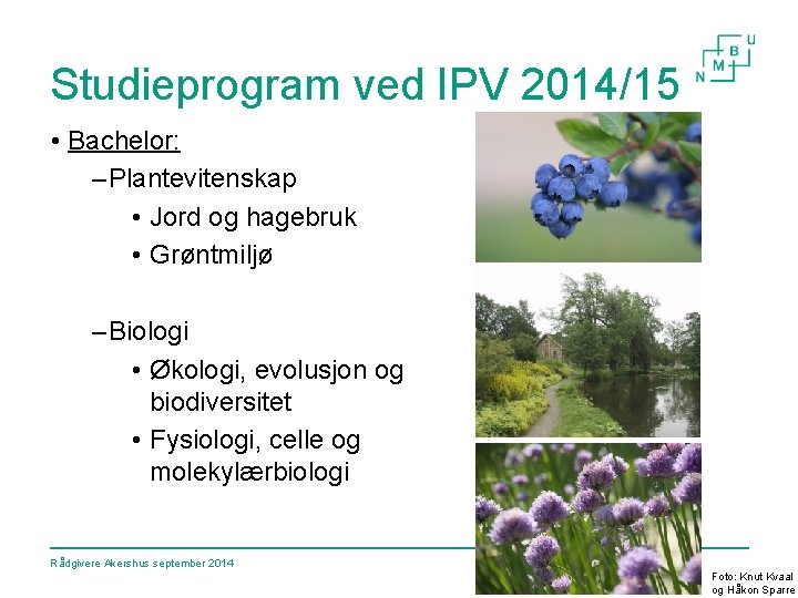Studieprogram ved IPV 2014/15 • Bachelor: – Plantevitenskap • Jord og hagebruk • Grøntmiljø