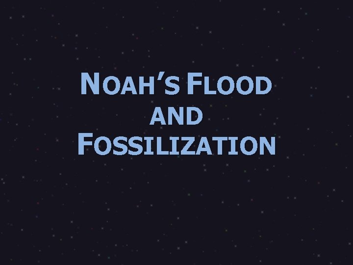 NOAH’S FLOOD AND FOSSILIZATION 