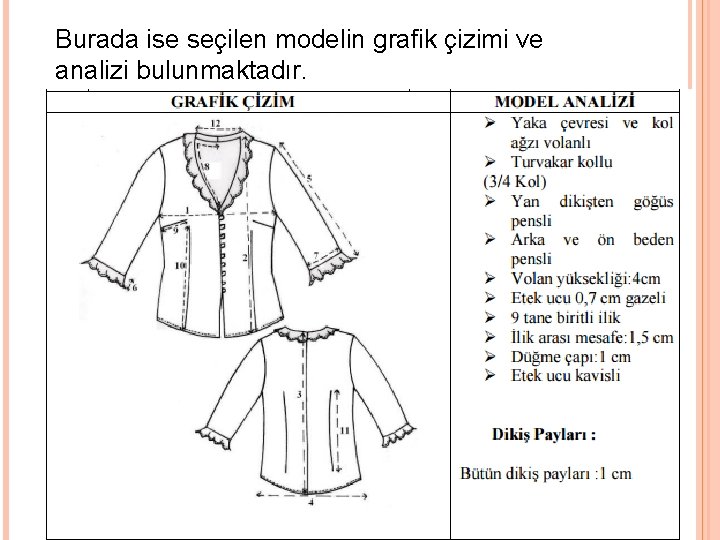 Burada ise seçilen modelin grafik çizimi ve analizi bulunmaktadır. 