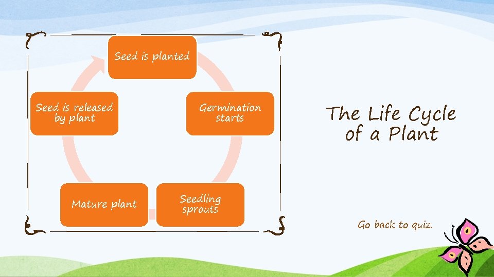 Seed is planted Seed is released by plant Mature plant Germination starts Seedling sprouts