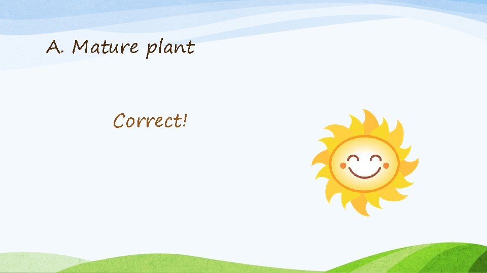 A. Mature plant Correct! 