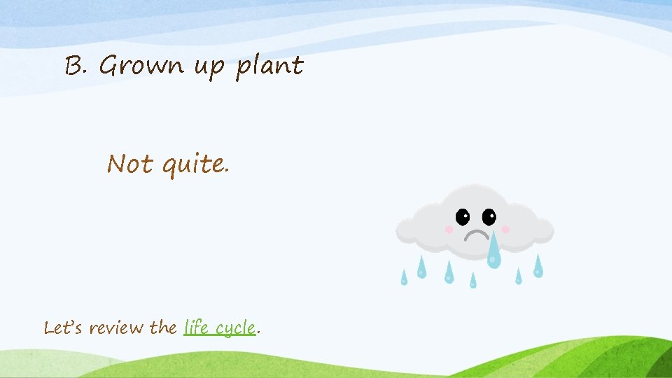 B. Grown up plant Not quite. Let’s review the life cycle. 