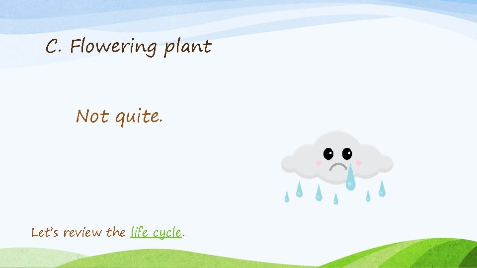 C. Flowering plant Not quite. Let’s review the life cycle. 