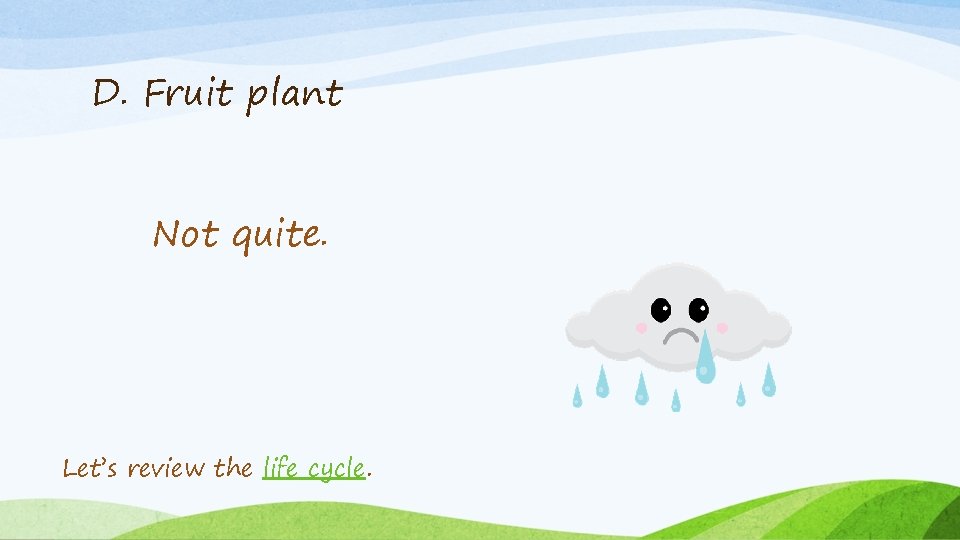 D. Fruit plant Not quite. Let’s review the life cycle. 