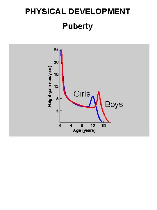 PHYSICAL DEVELOPMENT Puberty Girls Boys 