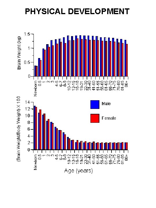 PHYSICAL DEVELOPMENT 