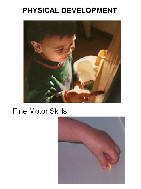 PHYSICAL DEVELOPMENT Fine Motor Skills 