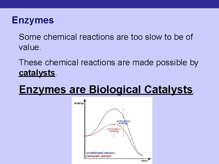 Enzymes Some chemical reactions are too slow to be of value. These chemical reactions
