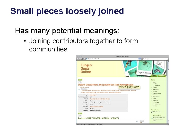 Small pieces loosely joined Has many potential meanings: • Joining contributors together to form