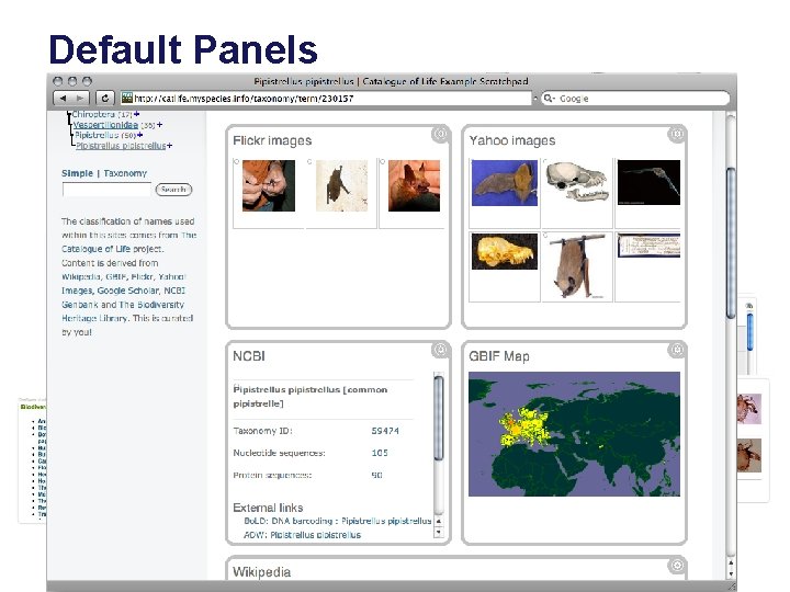 Default Panels 