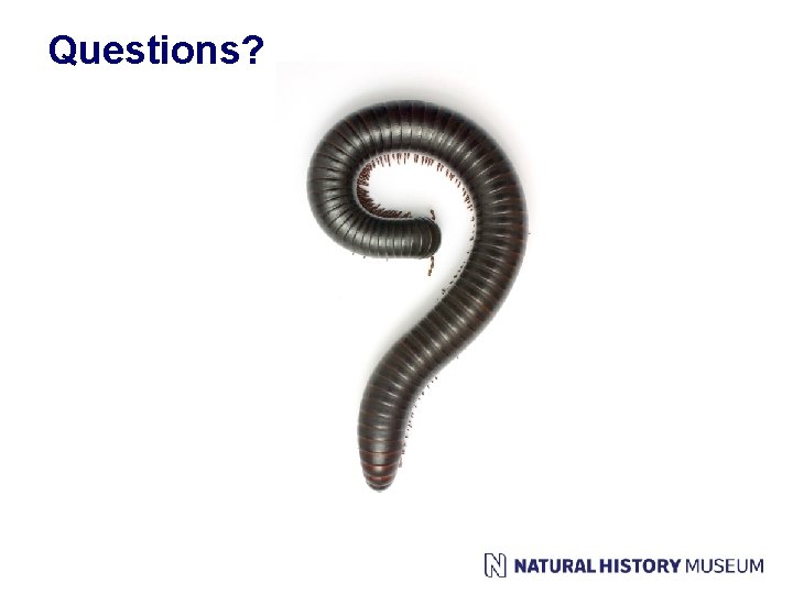 Questions? 