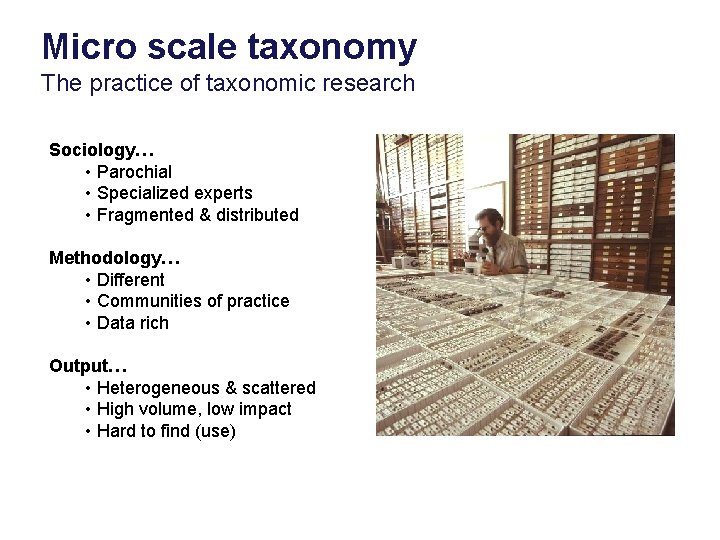 Micro scale taxonomy The practice of taxonomic research Sociology… • Parochial • Specialized experts