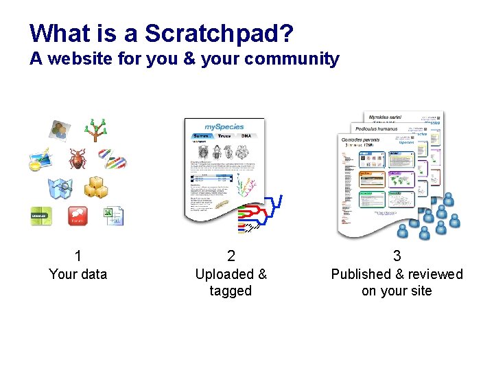 What is a Scratchpad? A website for you & your community 1 2 3