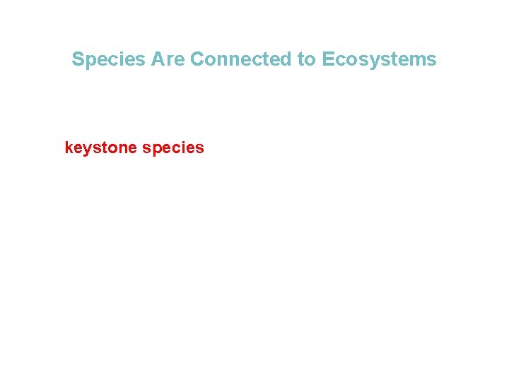 Biodiversity Section 1 Species Are Connected to Ecosystems • Some species are clearly critical