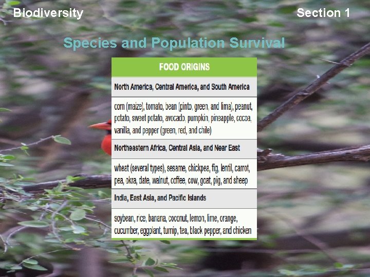 Biodiversity Species and Population Survival Section 1 