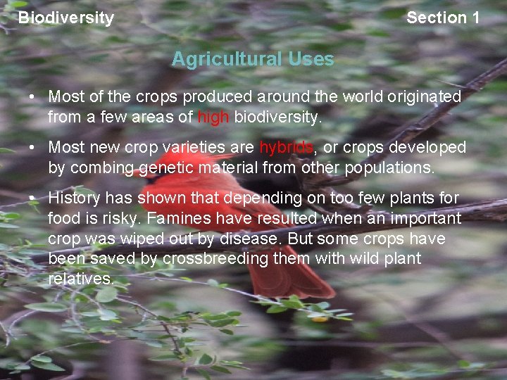 Biodiversity Section 1 Agricultural Uses • Most of the crops produced around the world